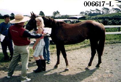 û���� ����