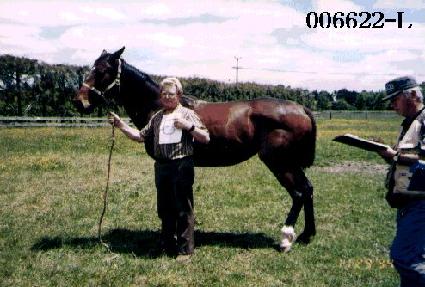 ���� ����