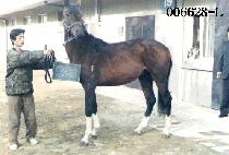 ������ (MA TAE JO) ����