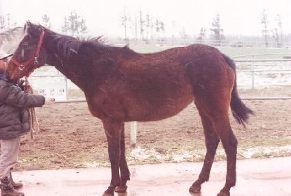 �˷��� ����