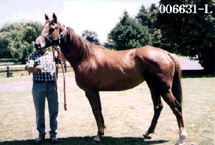 ���� ����