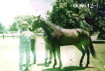 �嵵�� (JANGDORI) ����