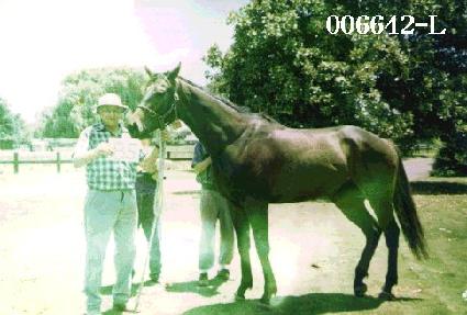 �嵵�� ����