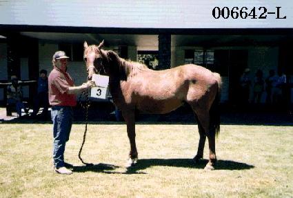 �ؼ� ����