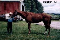 ����Ƽ�� (A. T. M.) ����