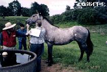 ù�� (CHEOT SEUNG) ����