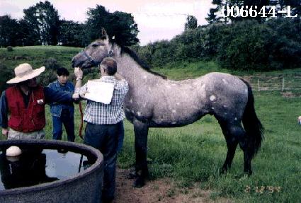 ù�� ����