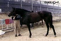 �Ǹ� (GWON MYEONG) ����