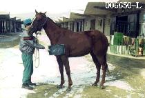 ������ȣ (JO SEON IL HO) ����