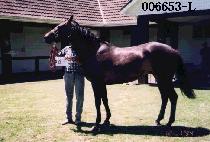 ��õ (OK CHEON) ����