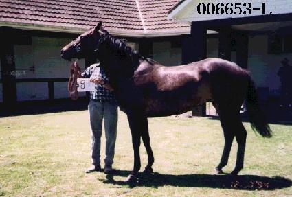 ��õ ����