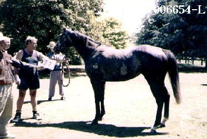 ���ϻ� ����