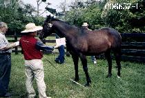 ��ǳ��� (WI POONG DANG DANG) ����