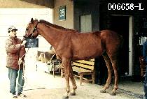 ���̾Ƴ� (NIANA) ����