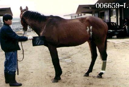 ����Ʈ�� ����