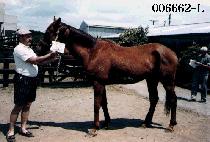 �뵵�� (DAE DO YAK) ����