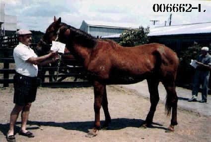 �뵵�� ����