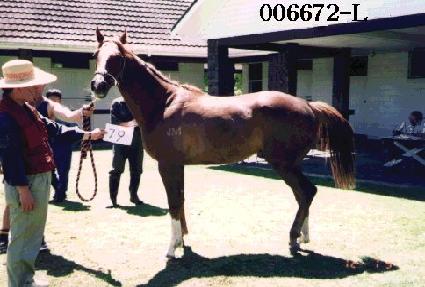 ���� ����