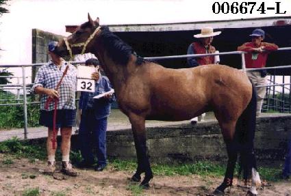 ȭ��õ ����