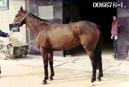 �չ�� ����