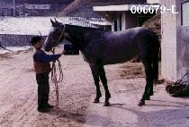 ���ؾ� (SEO HAE AN) ����