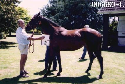 û�� ����