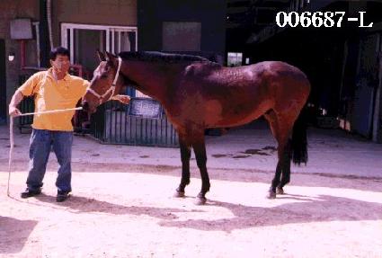 �����ٸ� ����