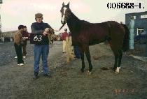 �Ǽ��� (DDO SOON I) ����