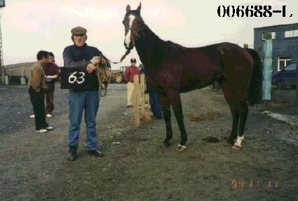 �Ǽ��� ����