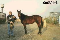 ����� (BEOP HEUNG SA) ����