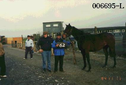 ��� ����