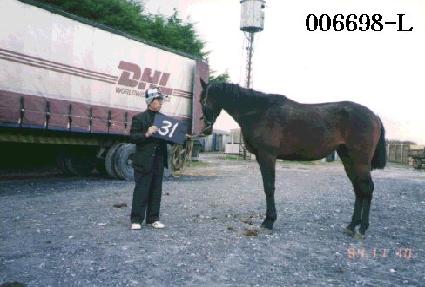 ������ ����