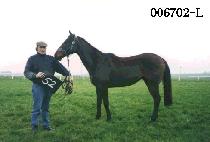 Ű���� (KEY WORD) ����