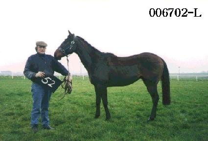 Ű���� ����