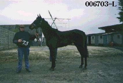 ����Ʈ���̴��� ����