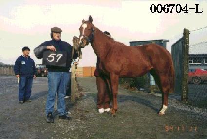 ����¡�� ����