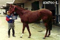 �����Ȱ� (SE SIM PAL GYEONG) ����