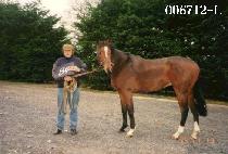 �ʴɷ� (CHO NEUNG RYEOK) ����