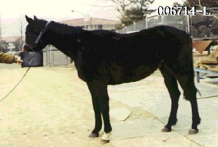 ���� ����