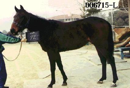 �����ǿ� ����