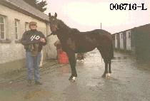 �뵿�� (DAE DONG SAN) ����