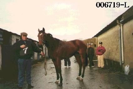 ��� ����