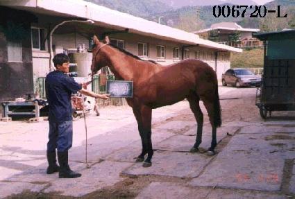 ���絵�̴Ͼ� ����