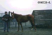 ����� (WU SU HAE) ����