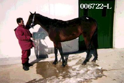 ���� ����