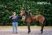 ������� (DAE SANG JIL JU) ����