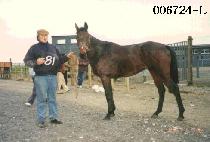 ������ (SEO GO DAE) ����