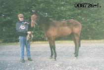 ��ǳ (YEON POONG) ����