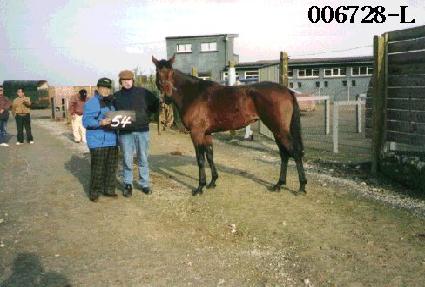 �ξ�Ű ����