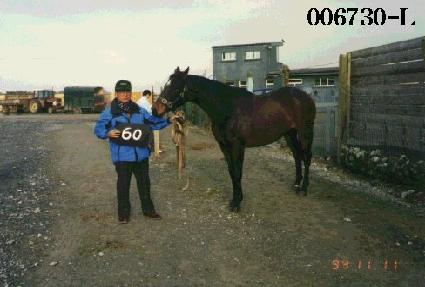 ����� ����